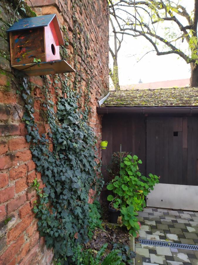 Cozy Uppertown Studio Zagreb Eksteriør billede